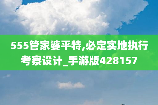 555管家婆平特,必定实地执行考察设计_手游版428157