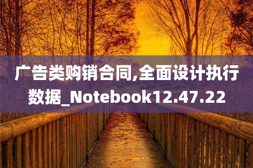 广告类购销合同,全面设计执行数据_Notebook12.47.22