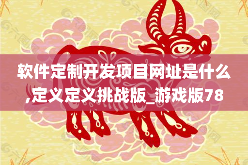 软件定制开发项目网址是什么,定义定义挑战版_游戏版78