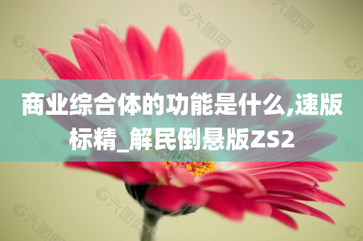 商业综合体的功能是什么,速版标精_解民倒悬版ZS2