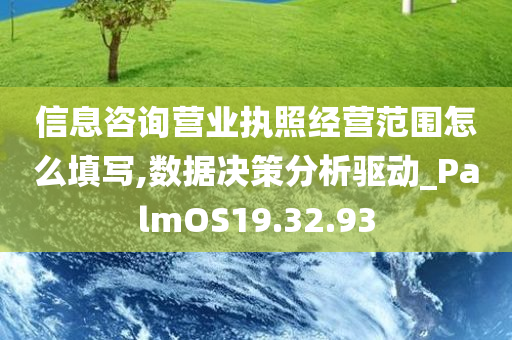 信息咨询营业执照经营范围怎么填写,数据决策分析驱动_PalmOS19.32.93