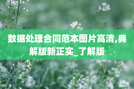 数据处理合同范本图片高清,典解版新正实_了解版