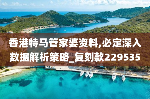 香港特马管家婆资料,必定深入数据解析策略_复刻款229535