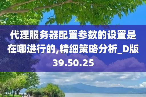 代理服务器配置参数的设置是在哪进行的,精细策略分析_D版39.50.25