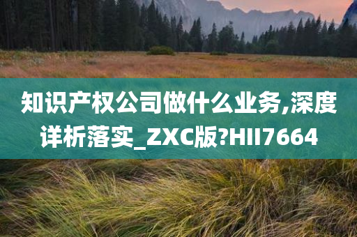 知识产权公司做什么业务,深度详析落实_ZXC版?HII7664