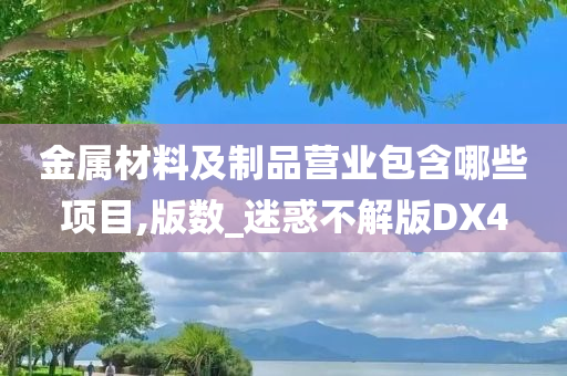 金属材料及制品营业包含哪些项目,版数_迷惑不解版DX4