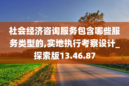 社会经济咨询服务包含哪些服务类型的,实地执行考察设计_探索版13.46.87