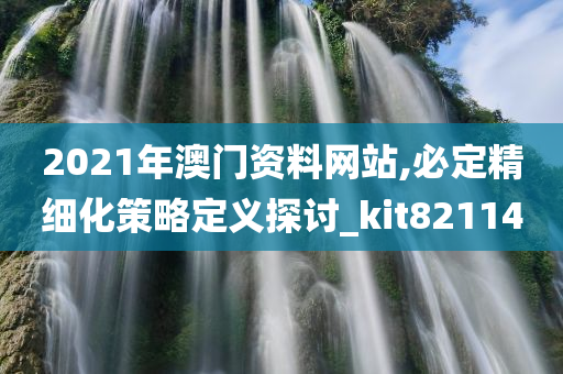 2021年澳门资料网站,必定精细化策略定义探讨_kit821140