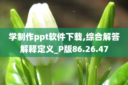 学制作ppt软件下载,综合解答解释定义_P版86.26.47