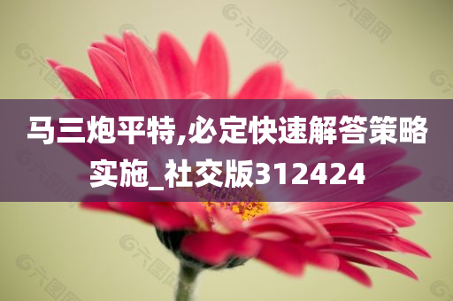 马三炮平特,必定快速解答策略实施_社交版312424