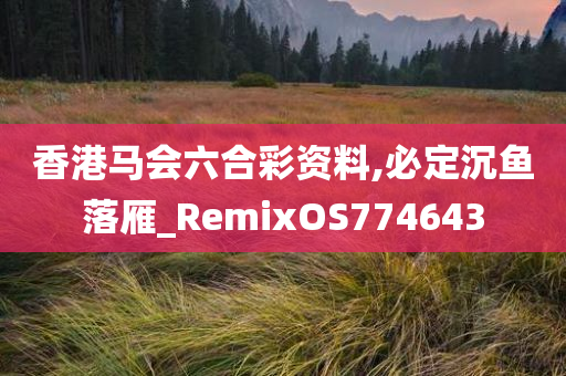 香港马会六合彩资料,必定沉鱼落雁_RemixOS774643