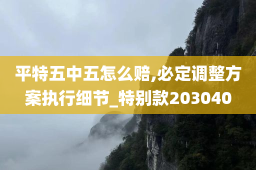 平特五中五怎么赔,必定调整方案执行细节_特别款203040