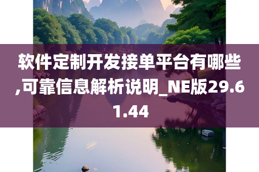 软件定制开发接单平台有哪些,可靠信息解析说明_NE版29.61.44