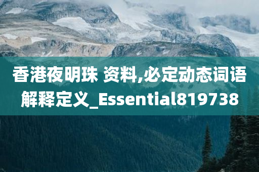 香港夜明珠 资料,必定动态词语解释定义_Essential819738