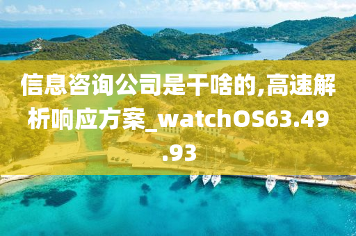 信息咨询公司是干啥的,高速解析响应方案_watchOS63.49.93