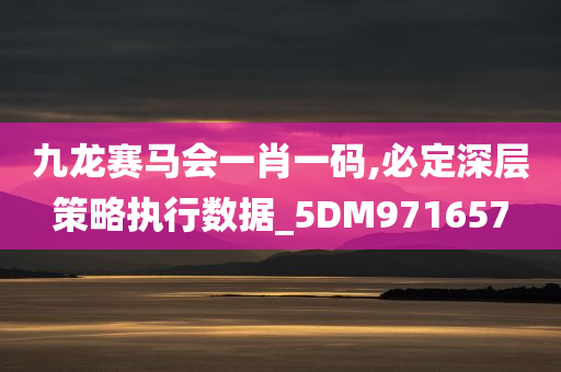 九龙赛马会一肖一码,必定深层策略执行数据_5DM971657