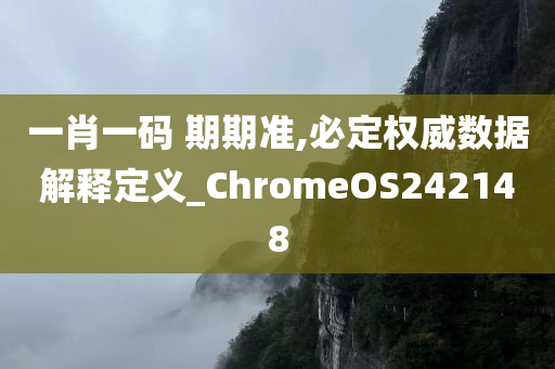 一肖一码 期期准,必定权威数据解释定义_ChromeOS242148