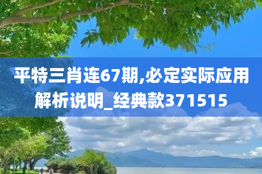 平特三肖连67期,必定实际应用解析说明_经典款371515