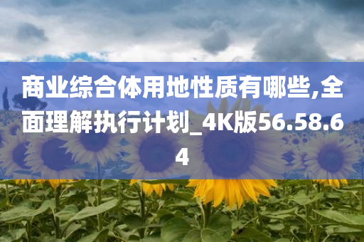 商业综合体用地性质有哪些,全面理解执行计划_4K版56.58.64