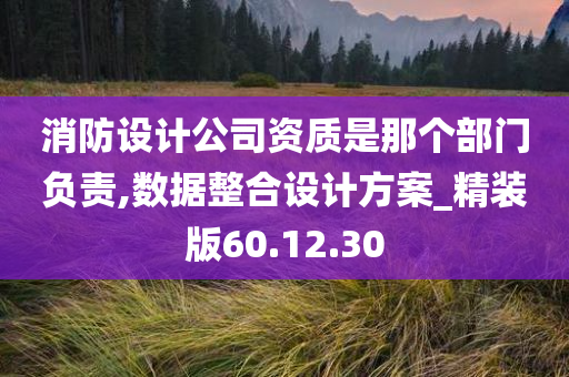 消防设计公司资质是那个部门负责,数据整合设计方案_精装版60.12.30