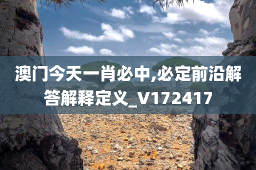 澳门今天一肖必中,必定前沿解答解释定义_V172417