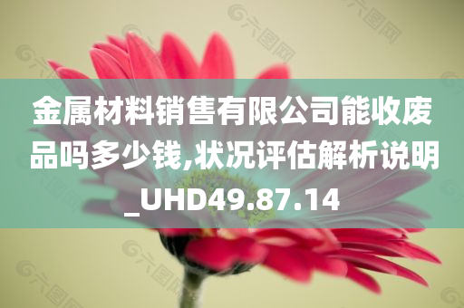 金属材料销售有限公司能收废品吗多少钱,状况评估解析说明_UHD49.87.14