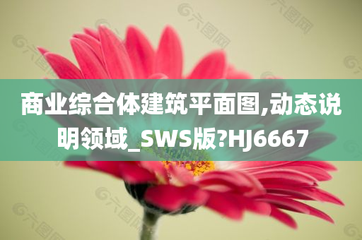 商业综合体建筑平面图,动态说明领域_SWS版?HJ6667