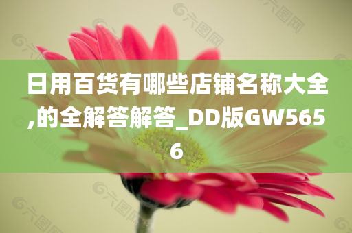 日用百货有哪些店铺名称大全,的全解答解答_DD版GW5656