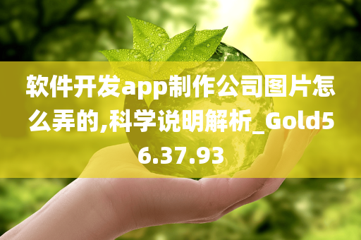 软件开发app制作公司图片怎么弄的,科学说明解析_Gold56.37.93