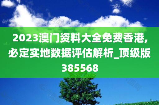 2023澳门资料大全免费香港,必定实地数据评估解析_顶级版385568