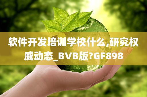 软件开发培训学校什么,研究权威动态_BVB版?GF898