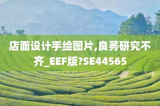 店面设计手绘图片,良莠研究不齐_EEF版?SE44565