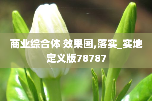 商业综合体 效果图,落实_实地定义版78787