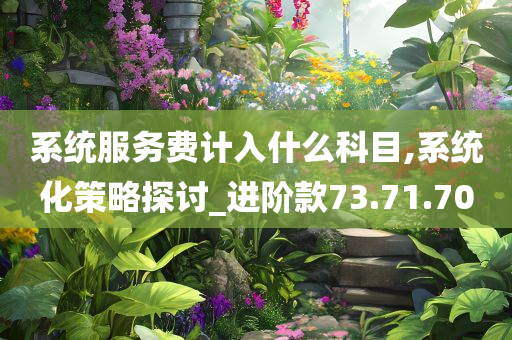 系统服务费计入什么科目,系统化策略探讨_进阶款73.71.70