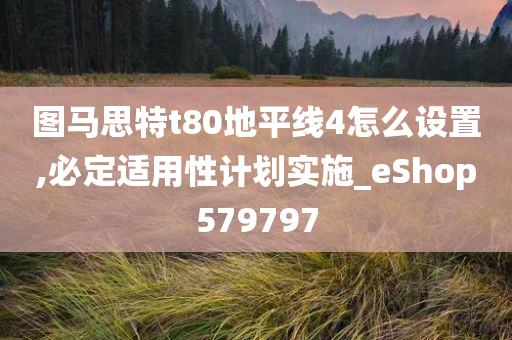 图马思特t80地平线4怎么设置,必定适用性计划实施_eShop579797