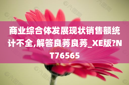 商业综合体发展现状销售额统计不全,解答良莠良莠_XE版?NT76565