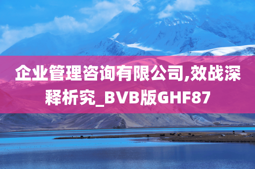 企业管理咨询有限公司,效战深释析究_BVB版GHF87