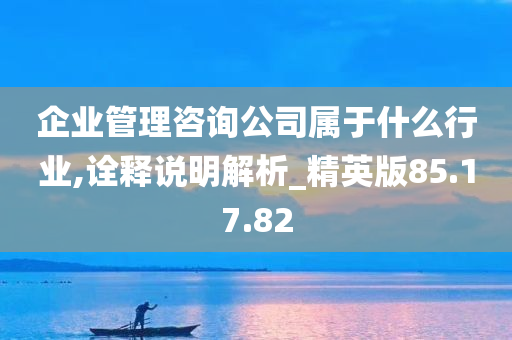 企业管理咨询公司属于什么行业,诠释说明解析_精英版85.17.82