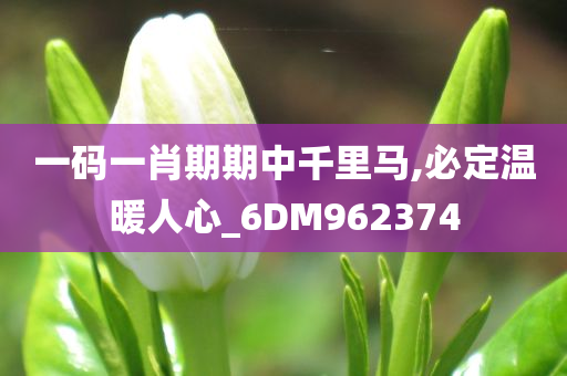 一码一肖期期中千里马,必定温暖人心_6DM962374