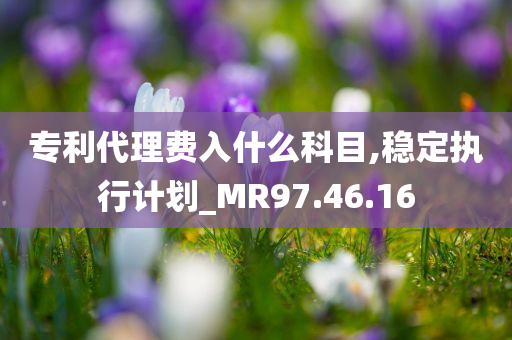 专利代理费入什么科目,稳定执行计划_MR97.46.16