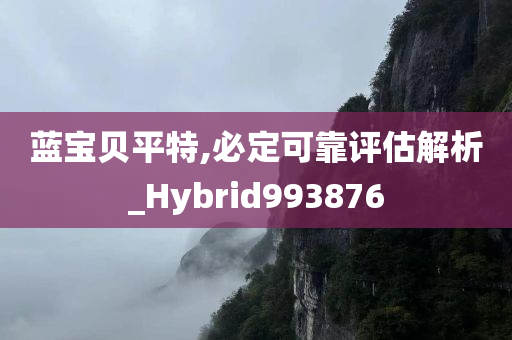 蓝宝贝平特,必定可靠评估解析_Hybrid993876