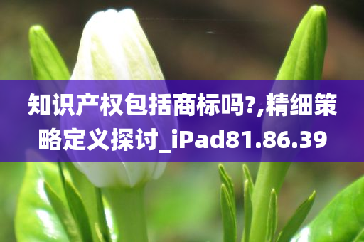 知识产权包括商标吗?,精细策略定义探讨_iPad81.86.39