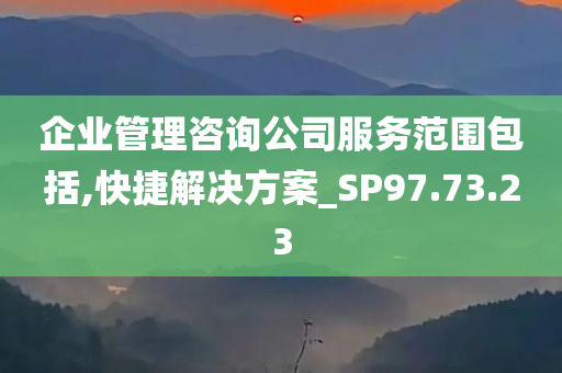 企业管理咨询公司服务范围包括,快捷解决方案_SP97.73.23