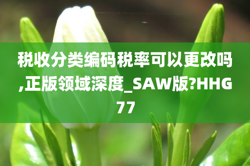 税收分类编码税率可以更改吗,正版领域深度_SAW版?HHG77