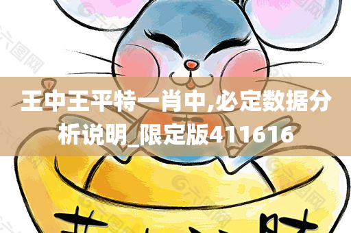 王中王平特一肖中,必定数据分析说明_限定版411616