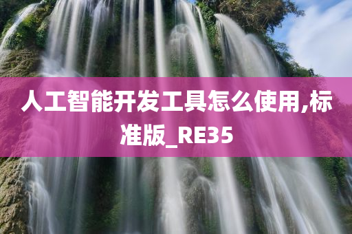 人工智能开发工具怎么使用,标准版_RE35