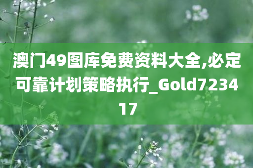 澳门49图库免费资料大全,必定可靠计划策略执行_Gold723417