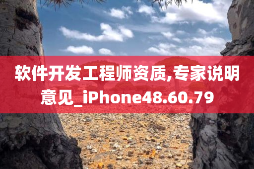 软件开发工程师资质,专家说明意见_iPhone48.60.79