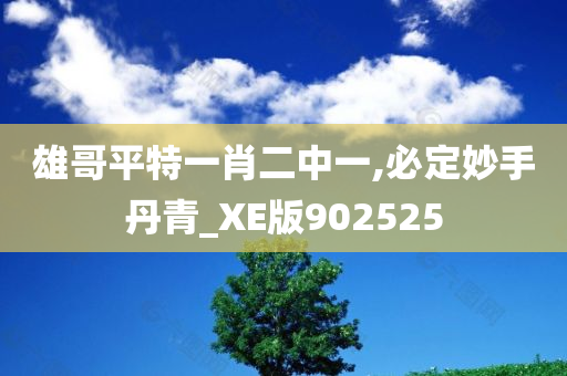 雄哥平特一肖二中一,必定妙手丹青_XE版902525