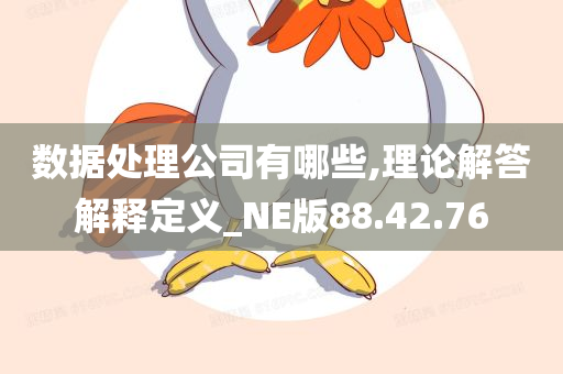 数据处理公司有哪些,理论解答解释定义_NE版88.42.76